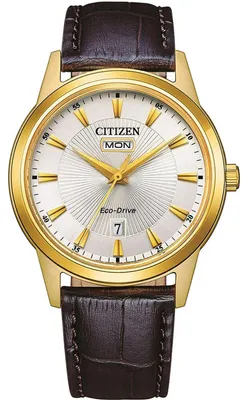 Obrázok produktu pre CITIZEN Náramkové hodinky AW0102-13AC