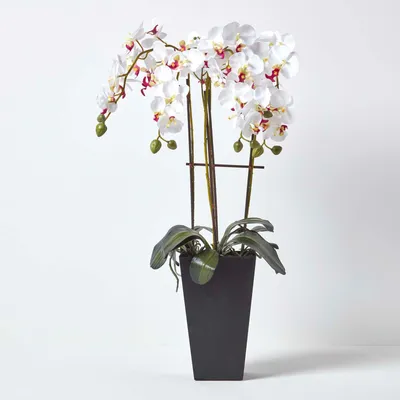 Produktbild von HOMESCAPES Kunstblume Orchidee weiß groß