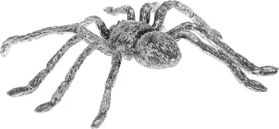 Produktbild von Zinnfigur Spinne Figur Skulptur Silber Insekt Zinn sculpture spider