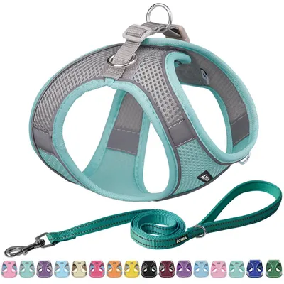 Image de Harnais pour chien avec laisse, couleur turquoise, taille XXS
