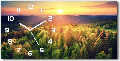 Produktbild von Wanduhr aus Glas – 60x30 cm - Glasbild - Glasuhr - Gehärtetes Glas - weisse-zeiger - Wald Sonnenuntergang