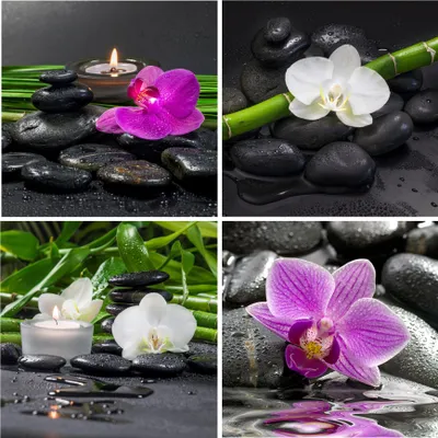Produktbild von Glasbild 4er Set je 30x30cm Wandbild Glas lila Orchideen Blume Wanddeko Wellness