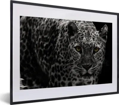 Produktbild von MuchoWow® MuchoWow® Gerahmtes Poster Leopard - Schwarz - Weiß 40x30 cm - Poster mit zchwarzem Bilderrahmen - Bilderrahmen - Poster im Rahmen