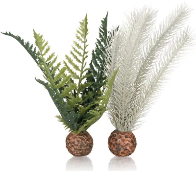 Produktbild von biOrb Farn grau/grün S (55075)
