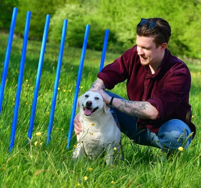 Produktbild von 10 Agility-Slalomstangen, Agility-Profi-Set, Hunde Groß für große Hunde-Training (nur die 10 Agility-Slalomstangen enthalten)