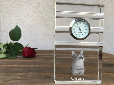 Zdjęcie produktu dla Art-Dog Zegar – Chausie