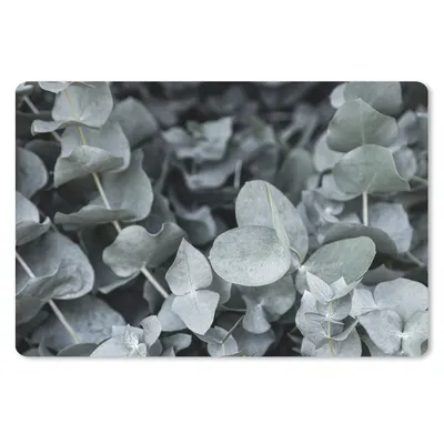 Obrázok produktu pre Podložka pod myš - Príroda - Rastliny - Eukalyptus - Listy - 60x40cm - Rohožka pod myš