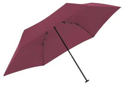 Obrázok produktu pre Kompaktný, skladací dáždnik – ľahký a odolný proti vetru – 99 cm