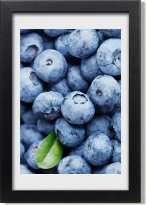 Produktbild von Bild 20x30 MDF-Rahmen, Wandkunst Blaubeeren