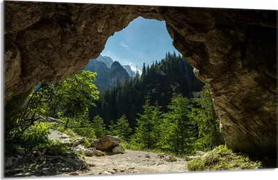 Immagine prodotto di Piastra di copertura del piano cottura 80x52cm 1 pezzo in Vetroceramica, paesaggio forestale