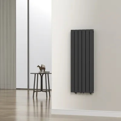 Produktbild von Flachheizkörper 'Nore' Schwarz 120x45cm Doppellagig 1140W