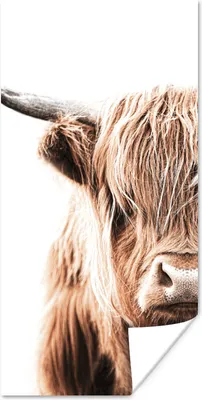 Produktbild von MuchoWow® Poster Schottischer Highlander - Kuh - Tiere 20x40 cm - Plakat - Foto