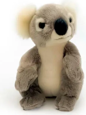 Produktbild von Koala National Geographic Plüschtier 18 cm Löwe Panda Koala Roter Panda Kuscheltier