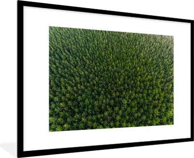 Produktbild von MuchoWow® MuchoWow® Gerahmtes Poster Wald - Neuseeland - Natur 90x60 cm - Poster mit zchwarzem Bilderrahmen - Wanddekoration - Fotos