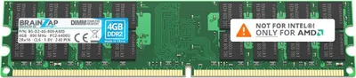 Produktbild von BRAINZAP 4GB DDR2 RAM DIMM PC2-6400U 2Rx16 800 MHz 1.8V CL6 AMD PC Arbeitsspeicher