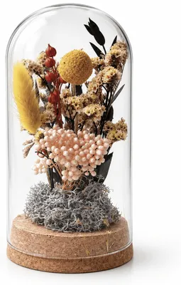 Produktbild von LAYBA Trockenblumen im Glas Gelb/Orange – Glashaube mit Korksockel, 11 cm hoch, Ø 6,5 cm, Tischdeko, 1 Stück