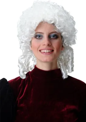 Produktbild von WIG ME UP Perücke Weiß Barock Renaissance Zöpfe 91203-ZA62
