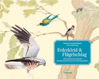 Image de Federkleid & Flügelschlag