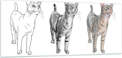 Produktbild von Bilder auf glas - Katzen Tiere Kinder Illustration - 100x40cm - Glasbilder - Wandbilder - Kunstdruck - zum Aufhängen bereit - Wanddekoration aus Glas - Glas Bilder - Wandbild auf Glas - GAB100x40-3211