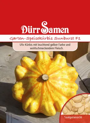 Produktbild von Speisekürbis Sunburst F1 | Speisekürbissamen von Dürr Samen