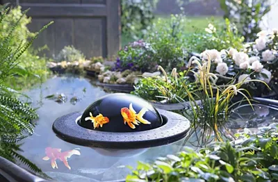 Produktbild von Weltbild Fish Dome Fischkugel für den Teich Lupeneffekt Ø 30 cm