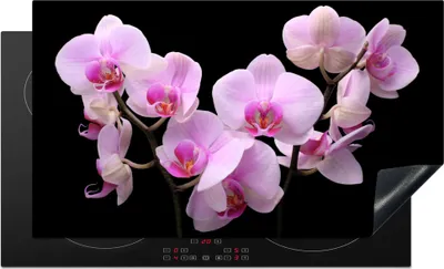 Produktbild von KitchenYeah© Herdabdeckplatte Orchidee - Blumen - Rosa - Flora , 90x52cm, Küche Deko, Glaskeramikkochfeld Herdabdeckung, Abdeckplatte fùr Kochfeld