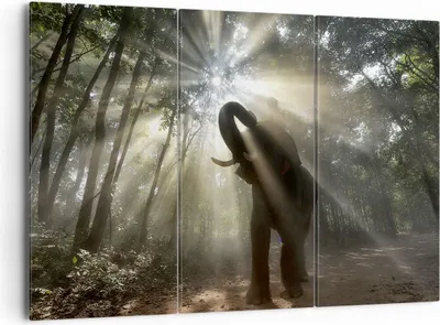Produktbild von Bild auf Leinwand - Leinwandbild - Elefant Dschungel  - 165x110cm - Wand Bild - Wanddeko - Leinwanddruck - Bilder - Kunstdruck - Wanddekoration - Leinwand bilder - Wandkunst - CE165x110-3835