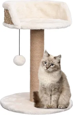 Immagine prodotto di vidaXL vidaXL - Tiragraffi - con - cestino - 49 - cm - erba marina