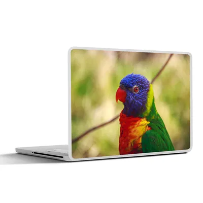 Produktbild von MuchoWow® Laptop Aufkleber Sticker Cover Vogel - Sittich - Blau 36.5x27.5 cm - Laptop-Sticker