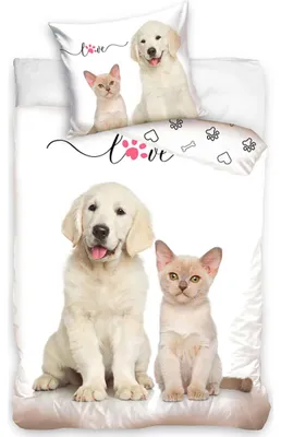 Image de Literie en coton Chiot et chaton