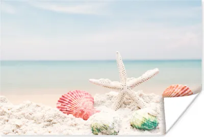 Produktbild von MuchoWow® Poster Seesterne - Muscheln - Meer 60x40 cm - Schlafzimmerdekoration
