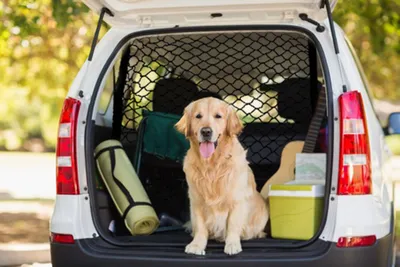 Image de Filet pour chiens Filet de séparation professionnel Filet de séparation pour chiens Filet de séparation de 4mm d'épaisseur Filet à bagages 130x87 cm