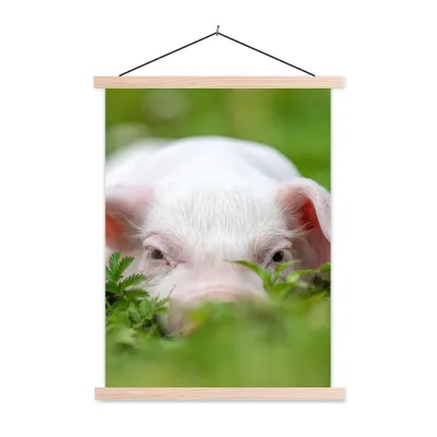 Produktbild von MuchoWow® Textilposter Schwein - Tiere - Groß 120x160 cm mit holzfarbenen Rahmen - Plakatkarton