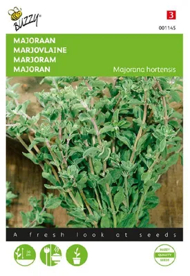 Imagen del producto de Orégano anual | Semillas de orégano de Buzzy Seeds