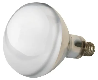 Obrázok produktu pre Kerbl Infrarotlampe klar 150 W, Wärmelampe für Schweine + Geflügel, Stalllampe