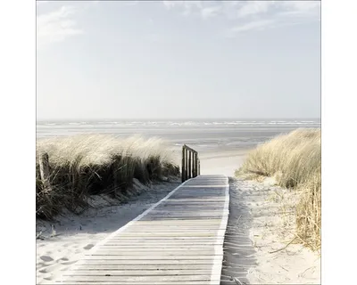 Produktbild von Glasbild Seeblick III GLA392Z 80x80 cm