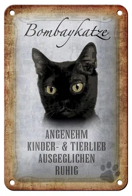 Produktbild von Blechschild Spruch 12x18cm Bombaykatze Katze Schild