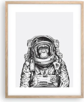 Produktbild von Gerahmtes Poster - Rahmen in heller Eiche - Schimpanse Astronaut Zeichnung - 40x50 cm - Wand Bild - Wanddeko - Wandbilder - Wandposter - Bilderrahmen - Bilder - Kunstdruck - Wandbild - P2NPA40x50-4312