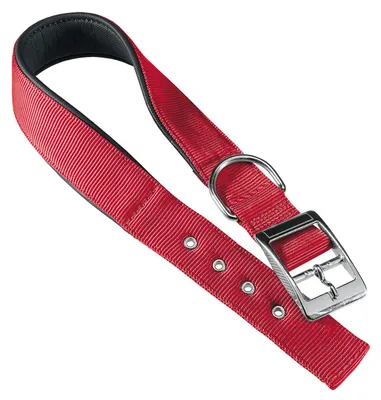 Productafbeelding van Ferplast Daytona C, Hondenhalsband, Standaard, Rood, Nylon, Effen, 40 mm