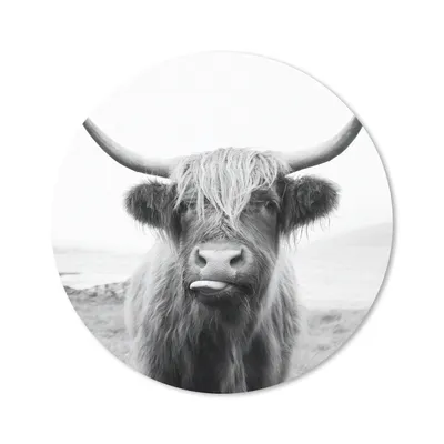 Produktbild von MuchoWow® Mauspad Mousepad Tiere - Schottischer Highlander - Kuh - Schwarz - Weiß 50x50 cm - Mousepads - Maus Mat - Pad - Mausunterlage - Vinyl
