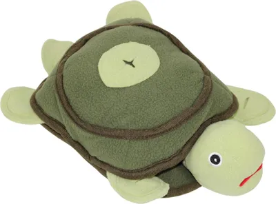 Produktbild von Pettimania Snackspielzeug Schildkröte grün
