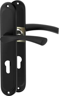 A pair of black door handles with a gold mechanism, shown against a white background.