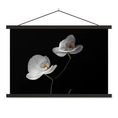 Produktbild von MuchoWow® Textilposter Orchidee - Blumen - Schwarz - Weiß - Stilleben 150x100 cm mit schwarzem Rahmen - Schlafzimmer