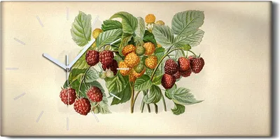 Produktbild von Küche Wohnzimmer Wand Leinwand Uhr 60x30 Malerei Früchte Beeren Blätter Kunst - weiße Hände