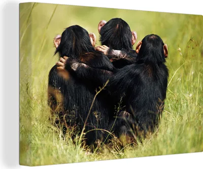 Produktbild von OneMillionCanvasses® - Leinwandbilder - 140x90 cm, Affe - Gras - Tiere, Wandbilder Kunstdruck Wanddekoration
