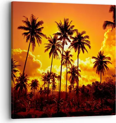 Produktbild von Bild auf Leinwand - Leinwandbild - Palmen Bäume Sonne - 40x40cm - Wand Bild - Wanddeko - Wandbilder - Leinwanddruck - Bilder - Kunstdruck - Wanddekoration - Leinwand bilder - Wandkunst - AC40x40-0187