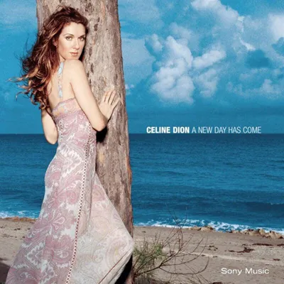 Zdjęcie produktu dla Celine Dion - A New Day Has Come (CD)