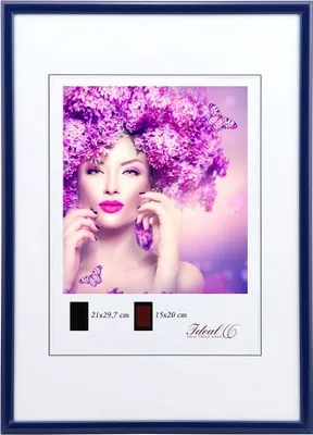 A woman with a large floral hairstyle and butterflies, presented within a blue picture frame.
