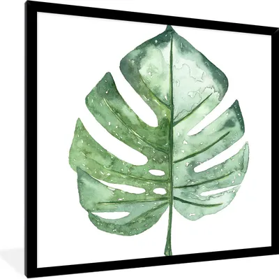 Produktbild von MuchoWow® Gerahmtes Poster Aquarell - Monstera - Blatt 40x40 cm - Poster mit Schwarzem Bilderrahmen Wandposter Rahmen Foto Bilder - Mit Rahmen - Wanddekoration Schlafzimmer