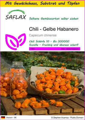 Produktbild von SAFLAX Anzucht Set - Chili - Gelbe Habanero - Capsicum chinense - 10 Samen - Mit Mini-Gewächshaus, Anzuchtsubstrat und 2 Töpfen